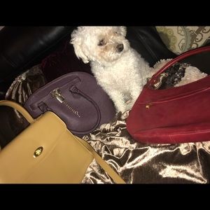 Luxury Handbags (dog not included)